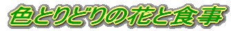 色とりどりの花と食事